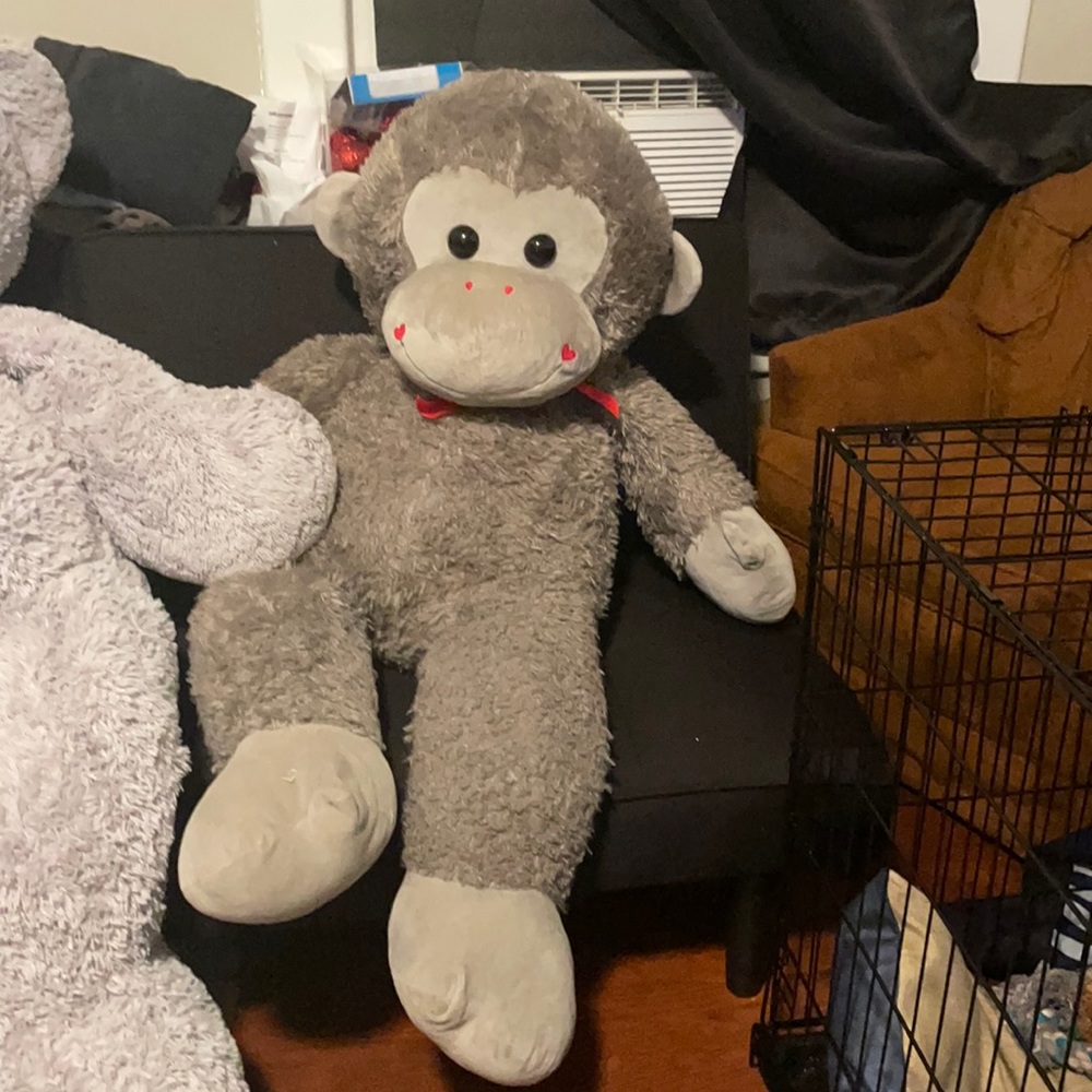 Stuffed Monkey